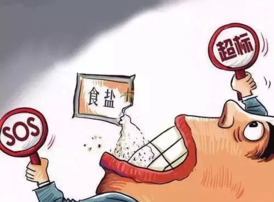 高血壓膳食營養(yǎng)管理 餐飲防治精華指南