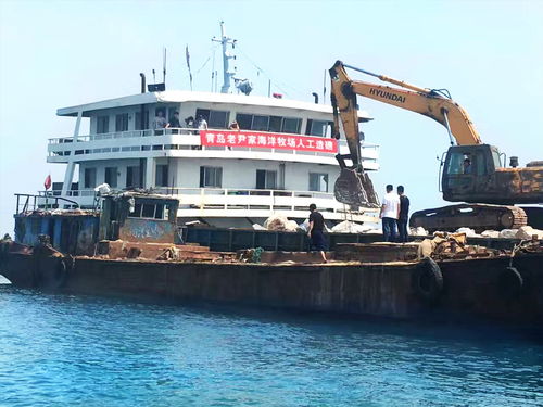 好海參好產(chǎn)地 青島老尹家海參國(guó)家級(jí)海洋牧場(chǎng)建設(shè)側(cè)記