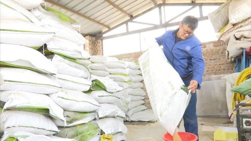 阿巴嘎旗洪格爾畜牧業(yè)合作社 多元化經(jīng)營(yíng)助力現(xiàn)代畜牧業(yè)發(fā)展