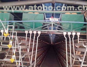 滎陽(yáng)市高村大張強(qiáng)勝機(jī)器廠 畜牧養(yǎng)殖業(yè)設(shè)備熱賣(mài)促銷(xiāo)及供應(yīng)商解析