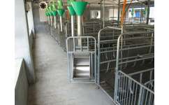 自動(dòng)化料線(xiàn)規(guī)格與萬(wàn)晟畜牧設(shè)備售后保證的全面解析