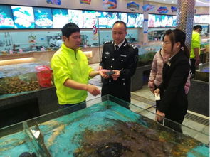 高明區(qū)農(nóng)林漁業(yè)局畜牧漁業(yè)飼料銷售工作滿意度調(diào)查報告