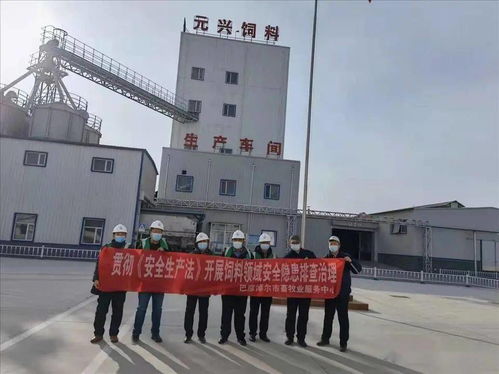 筑牢安全防線，保障市場供應——市畜牧業(yè)服務中心開展春節(jié)前飼料生產企業(yè)安全生產與銷售專項檢查